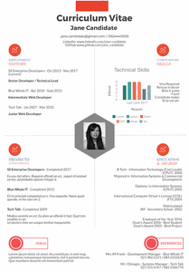 Infographic CV Sample